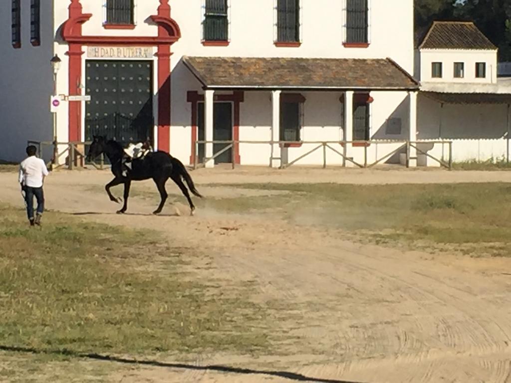 El Rocio Azul Alojamiento Rural Bagian luar foto